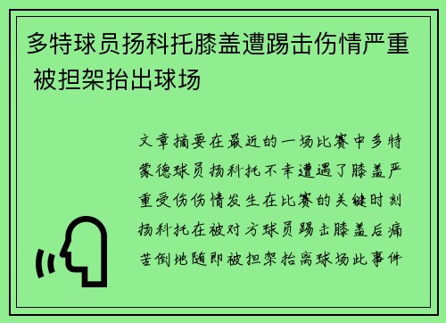 多特球员扬科托膝盖遭踢击伤情严重 被担架抬出球场